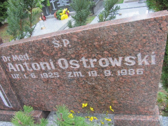 Antoni OSTROWSKI 1925 Bielsko-Biała - Grobonet - Wyszukiwarka osób pochowanych